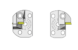 Type SVNC